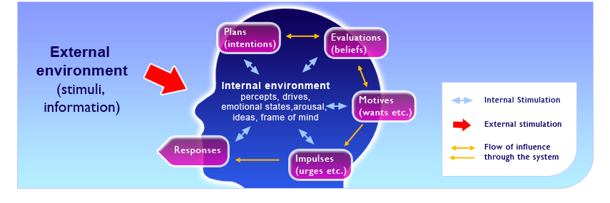 PRIME Theory of Motivation Summary Diagram